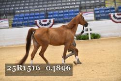 25R1516_04896 thumbnail