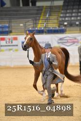 25R1516_04898 thumbnail