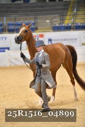 25R1516_04899 thumbnail