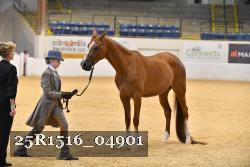 25R1516_04901 thumbnail