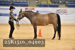 25R1516_04903 thumbnail