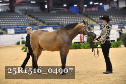 25R1516_04907 thumbnail