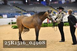 25R1516_04908 thumbnail