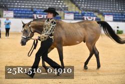 25R1516_04910 thumbnail