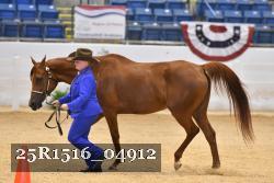 25R1516_04912 thumbnail