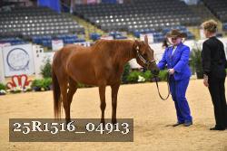 25R1516_04913 thumbnail