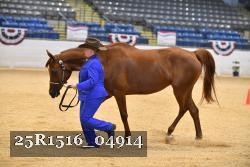 25R1516_04914 thumbnail