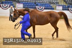 25R1516_04915 thumbnail