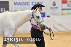 25R1516_04916 thumbnail