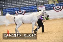 25R1516_04917 thumbnail
