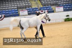 25R1516_04918 thumbnail