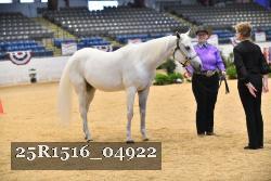 25R1516_04922 thumbnail