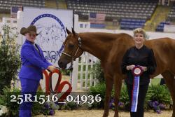 25R1516_04936 thumbnail