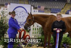 25R1516_04937 thumbnail