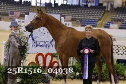 25R1516_04938 thumbnail