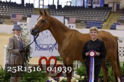 25R1516_04939 thumbnail