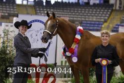 25R1516_04944 thumbnail