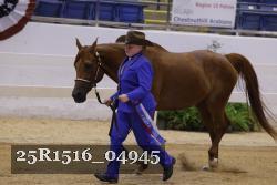 25R1516_04945 thumbnail