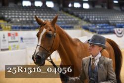 25R1516_04956 thumbnail