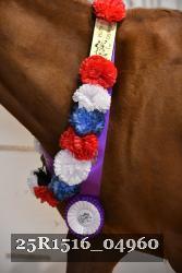 25R1516_04960 thumbnail