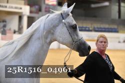 25R1516_04961 thumbnail
