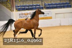 25R1516_04962 thumbnail