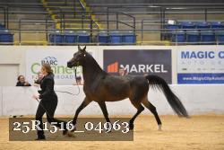 25R1516_04963 thumbnail