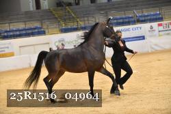 25R1516_04964 thumbnail