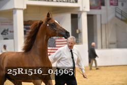 25R1516_04965 thumbnail