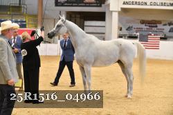 25R1516_04966 thumbnail