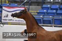 25R1516_04967 thumbnail