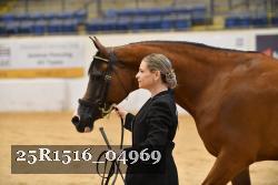 25R1516_04969 thumbnail