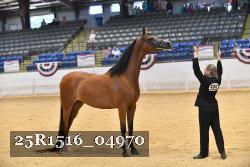 25R1516_04970 thumbnail
