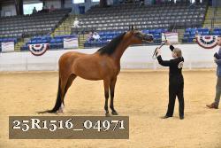 25R1516_04971 thumbnail