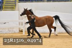 25R1516_04974 thumbnail