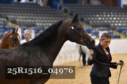 25R1516_04976 thumbnail