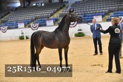 25R1516_04977 thumbnail