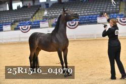 25R1516_04979 thumbnail