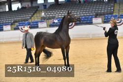25R1516_04980 thumbnail