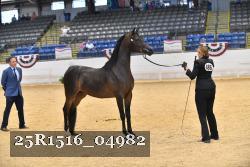 25R1516_04982 thumbnail