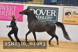 25R1516_04983 thumbnail