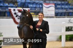 25R1516_04991 thumbnail