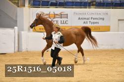 25R1516_05018 thumbnail