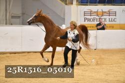 25R1516_05019 thumbnail