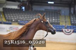 25R1516_05020 thumbnail