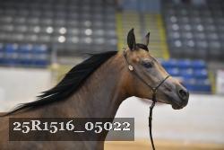 25R1516_05022 thumbnail