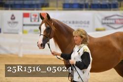 25R1516_05024 thumbnail