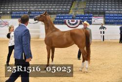 25R1516_05025 thumbnail