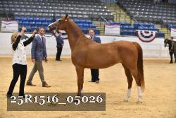 25R1516_05026 thumbnail