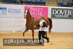 25R1516_05028 thumbnail